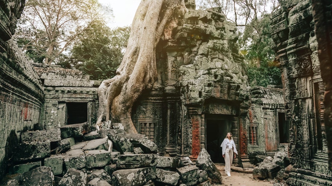 Phone Travel Guide tweet media