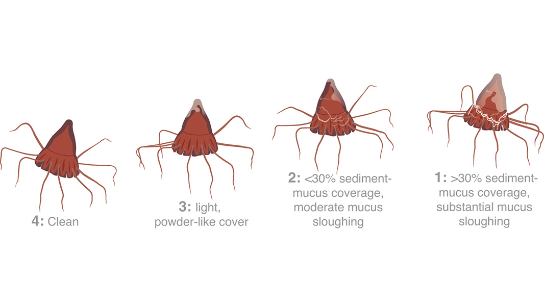 Nature Portfolio tweet media