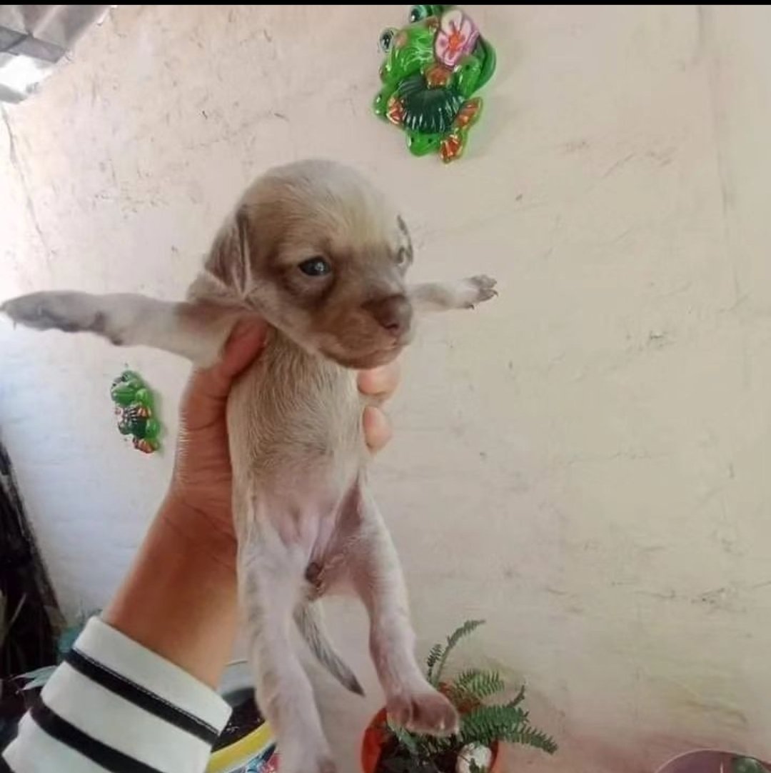 mischiefanimals's tweet photo. christ the redeemer https://t.co/yi53hLg16L