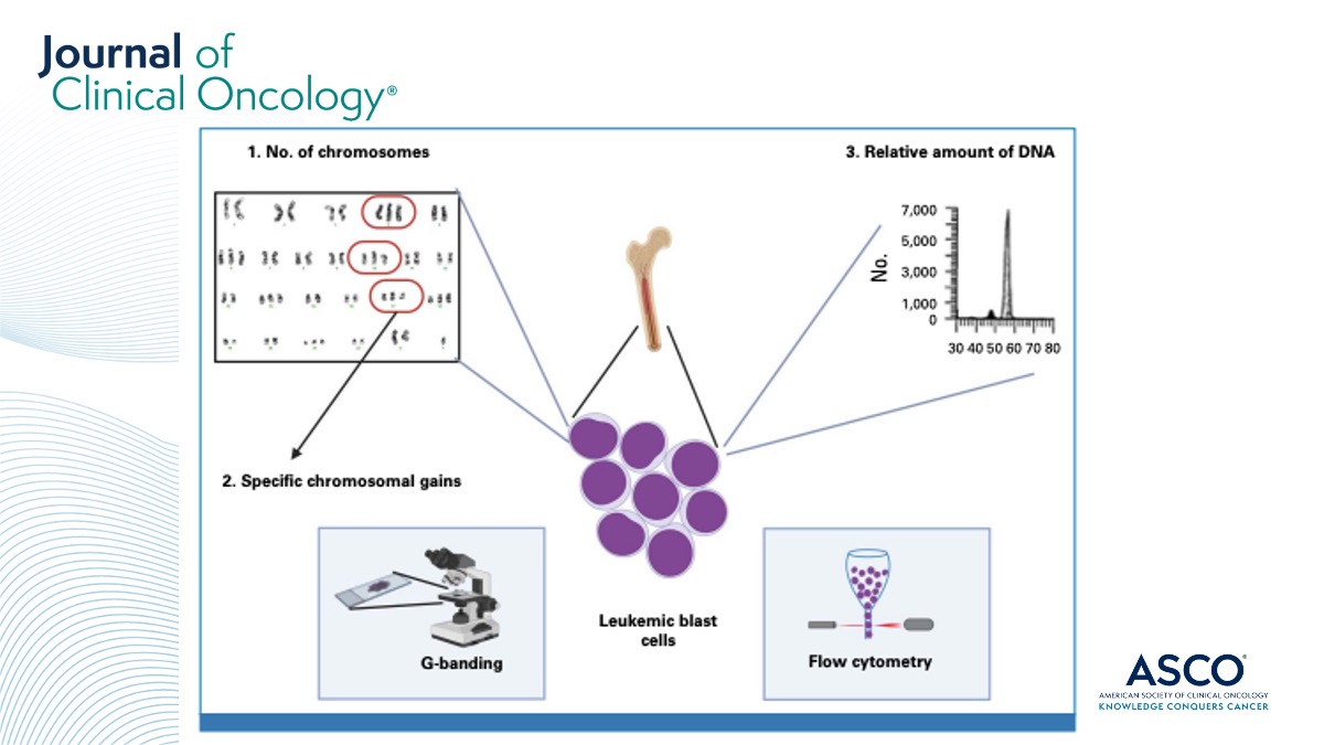 JCO_ASCO's tweet photo. 🧐 #JCO #UnderstandingThePathway: Chromosomal Gains as a Favorable Prognostic Factor in Pediatric #AcuteLymphoblasticLeukemia ➡️ https://t.co/SGk1TGOj6R #pedcsm https://t.co/5U3il7H4n0