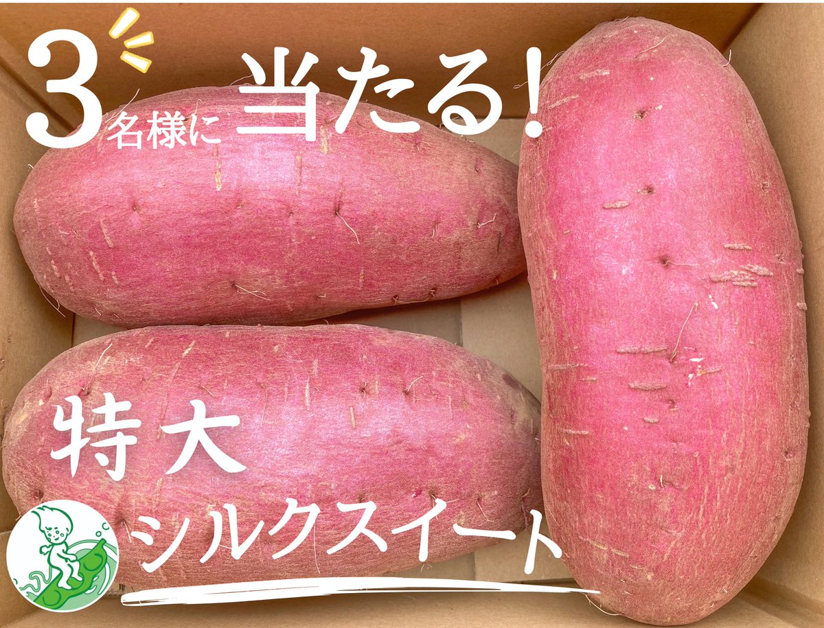 岩崎ファーム tweet media