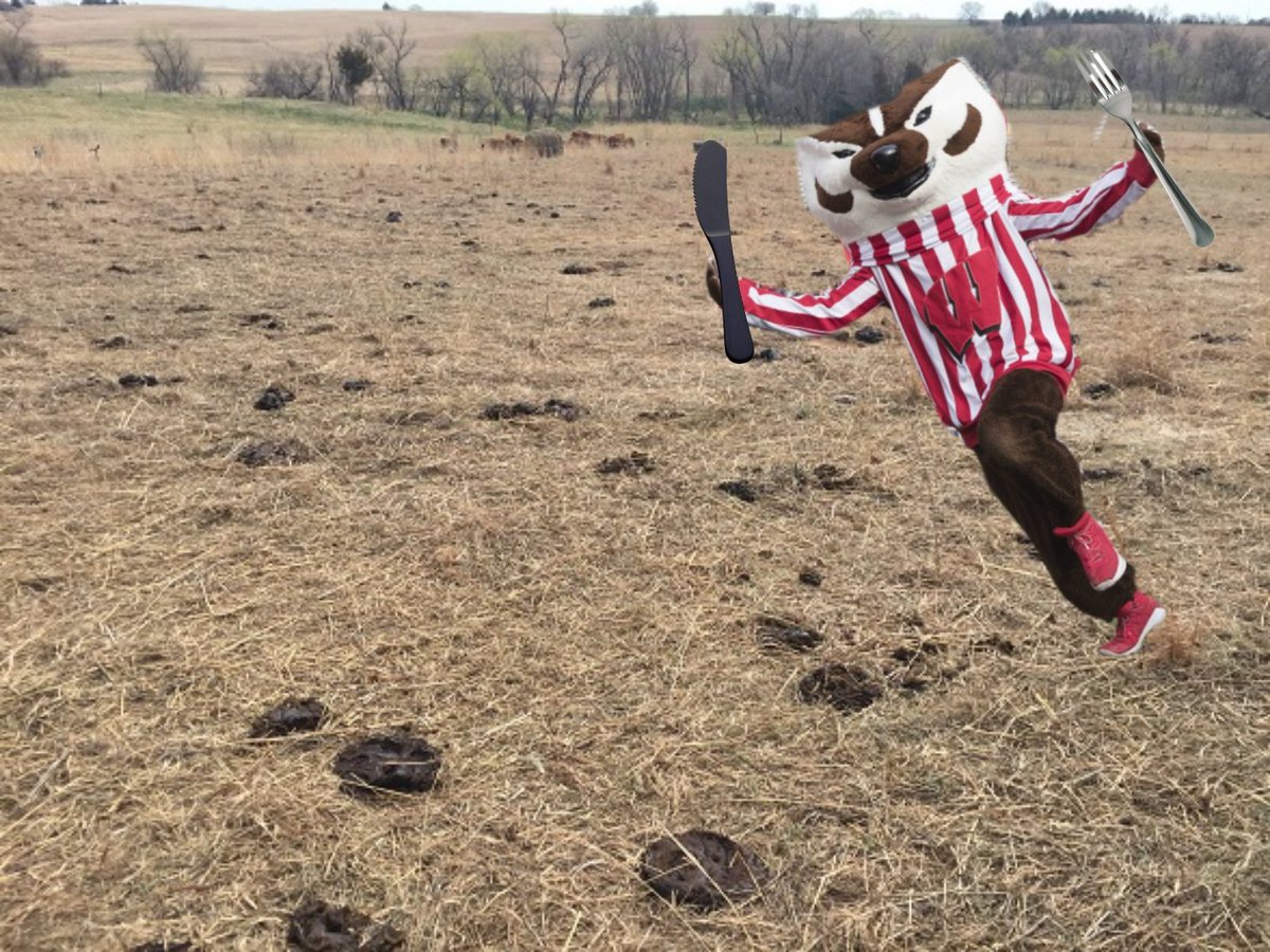 @UWBuckyBadger @UWBuckyBadger can't tell the difference between cow pies and pancakes 🥞🍽️🤤 #breakfastofbadgers #axeweek