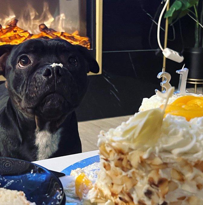 Se me olvid&oacute; daros las gracias por felicitarme mis amores 🦂✨🔥💚 11:11 https://t.co/j3mzjbIGsG