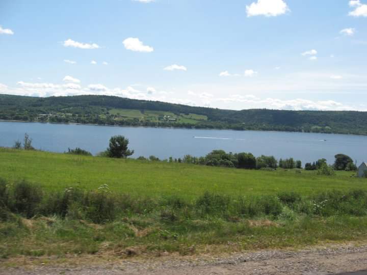 Jeff Kelly tweet media