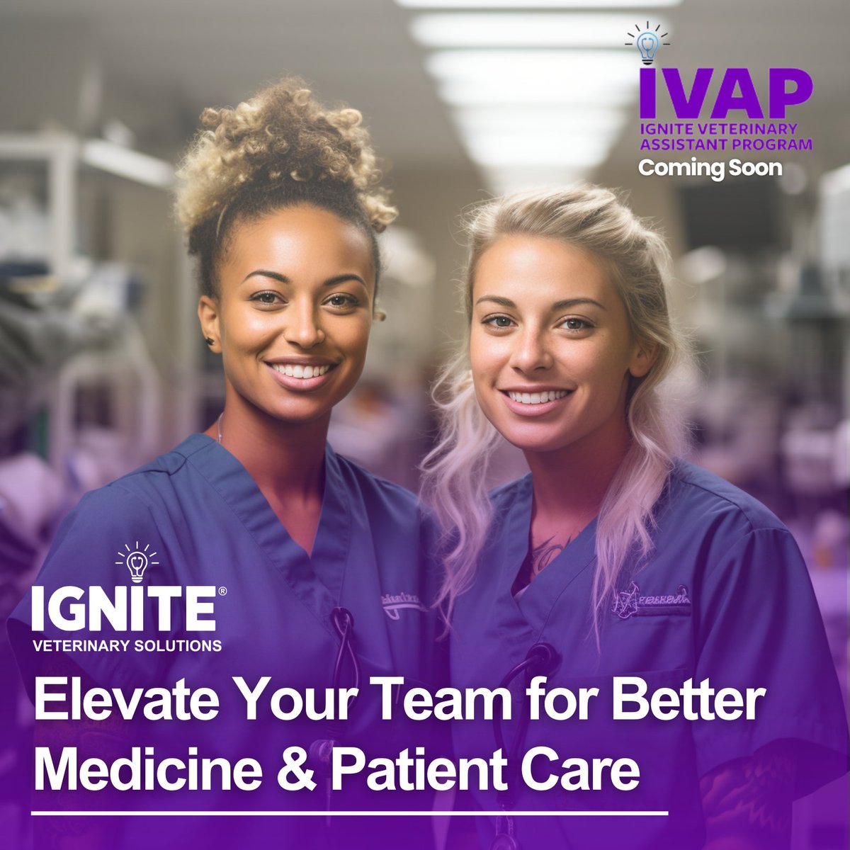 IGNITEvet's tweet photo. Transform your approach to veterinary care with cutting-edge solutions that enhance efficiency, collaboration, and overall excellence.   

Join the waiting list now for a $100 early bird discount: https://t.co/4vCITdNjnx https://t.co/HuNN9c7Xt6
