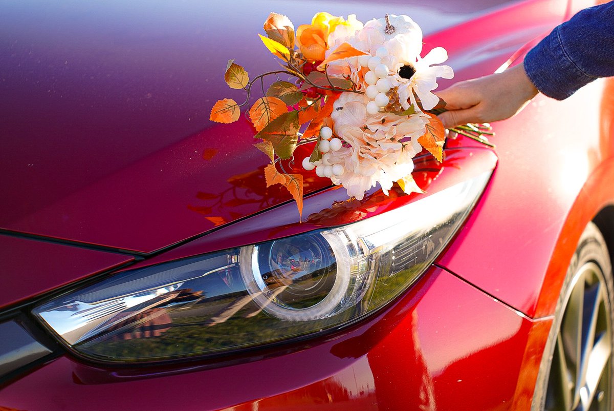 aya___axela's tweet photo. 今年の紅葉上手くいってないので
過去の紅葉たち🍁

#アクセラ#axela#mazda#カメラ女子#ドライブ好き#withmazda https://t.co/cAieSwOpNy