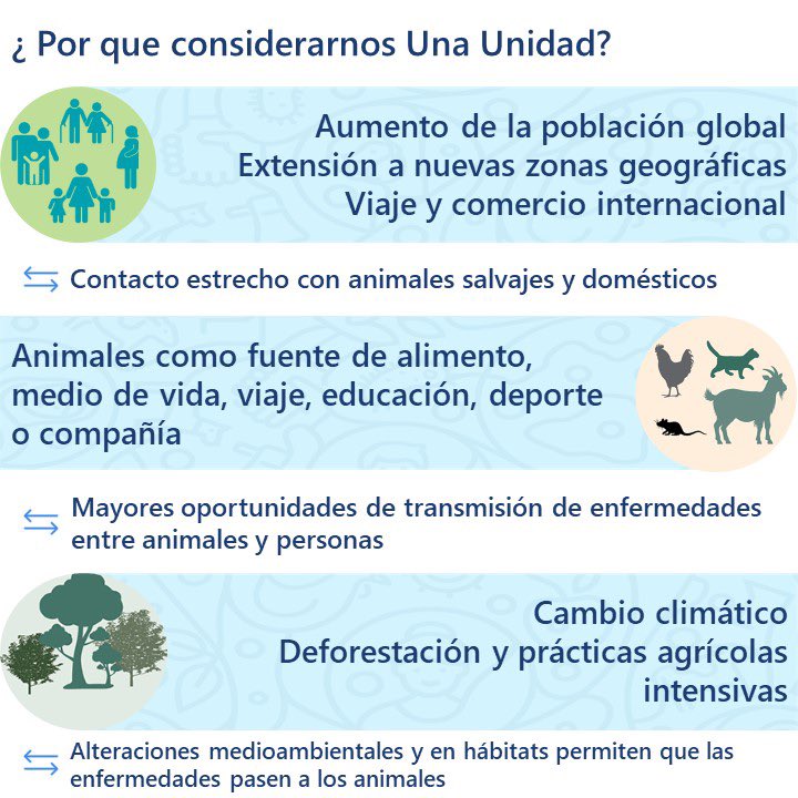 antibiotica's tweet photo. En la semana de concienciación sobre la resistencia a los antimicrobianos #waaw te contamos sobre el concepto de Una Salud #OneHealth y su importancia en relación a la #ram 
@panaftosa_inf @opsomsuruguay @FAOUruguay @WOAH @unep_espanol https://t.co/bG8OnCA1gi