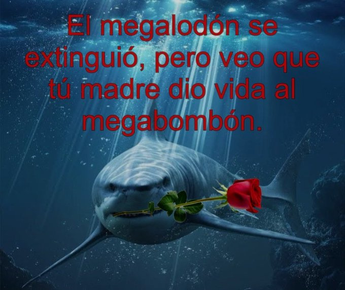 frigosouul's tweet photo. https://t.co/vOkHcM64j0
