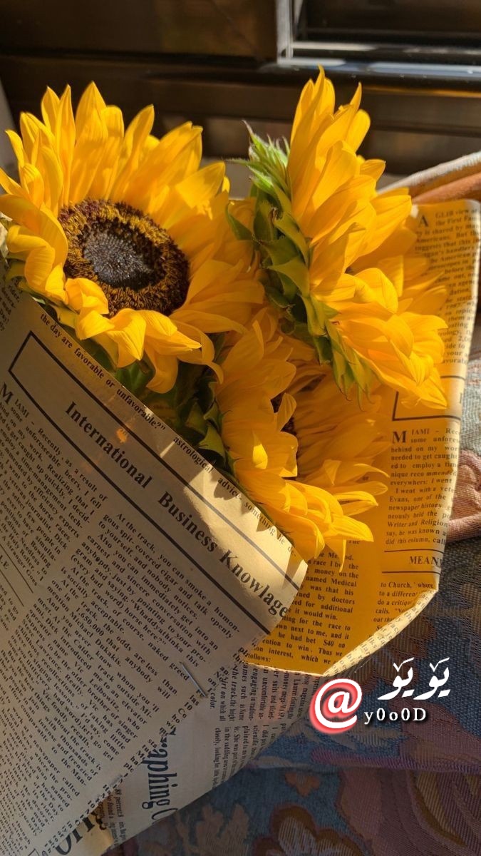 ••ᘓ᭄⍣⃝ ˓٭˛✿|• 𓏲••𝒴ℴℴ𝓈𝓊𝒻••♥ tweet media