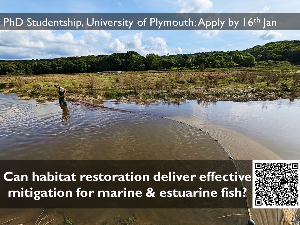 Ben Ciotti tweet media