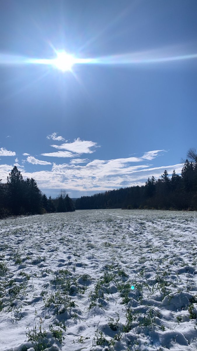 coraesharp's tweet photo. Soil sampling can be cold, but it also has some of the most beautiful views 😍 @CavendishAgri https://t.co/PUivFRnLkJ