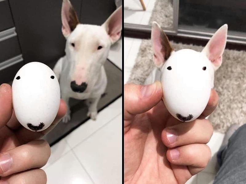 twaniimals's tweet image. 