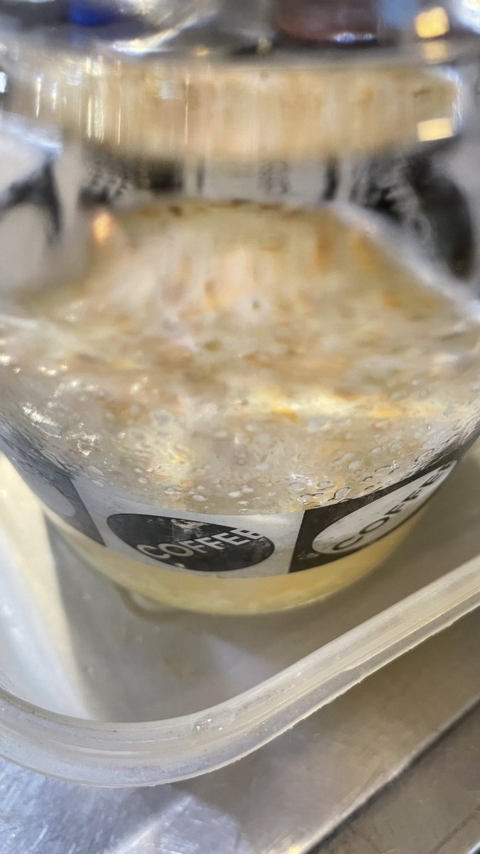 FedeWeill's tweet photo. @GingerAda_ empezamos el proceso! First #cardano decentralized natural drink! https://t.co/UbPURmcXeo