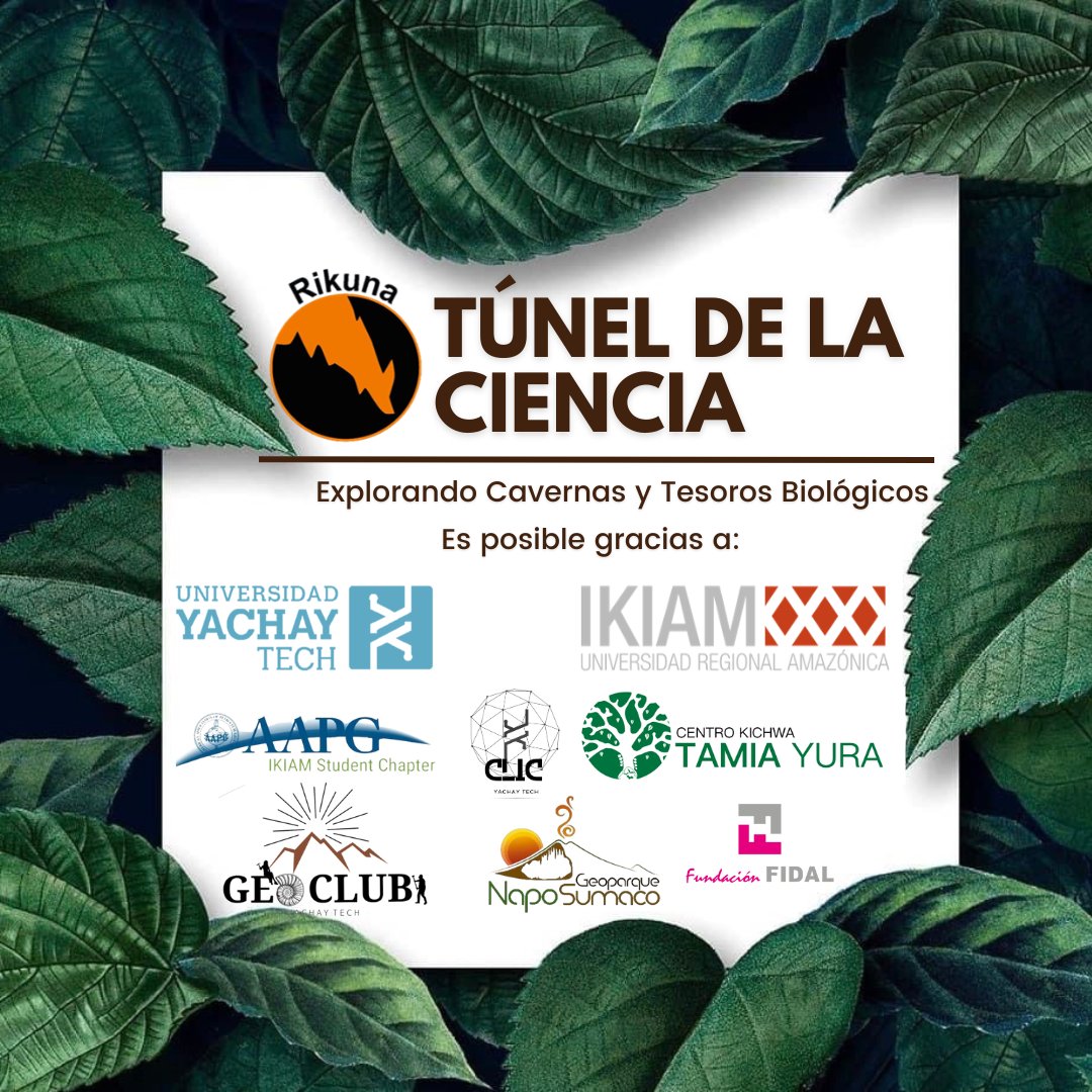 Detrás de una Gran Evento hay una gran responsabilidad de agradecer al increíble equipo detrás de la organización 🙌✌️🤝

Ha sido un honor colaborar con tan distinguidas organizaciones. Estamos seguros de que juntos generaremos ese cambio disruptivo que el mundo necesita