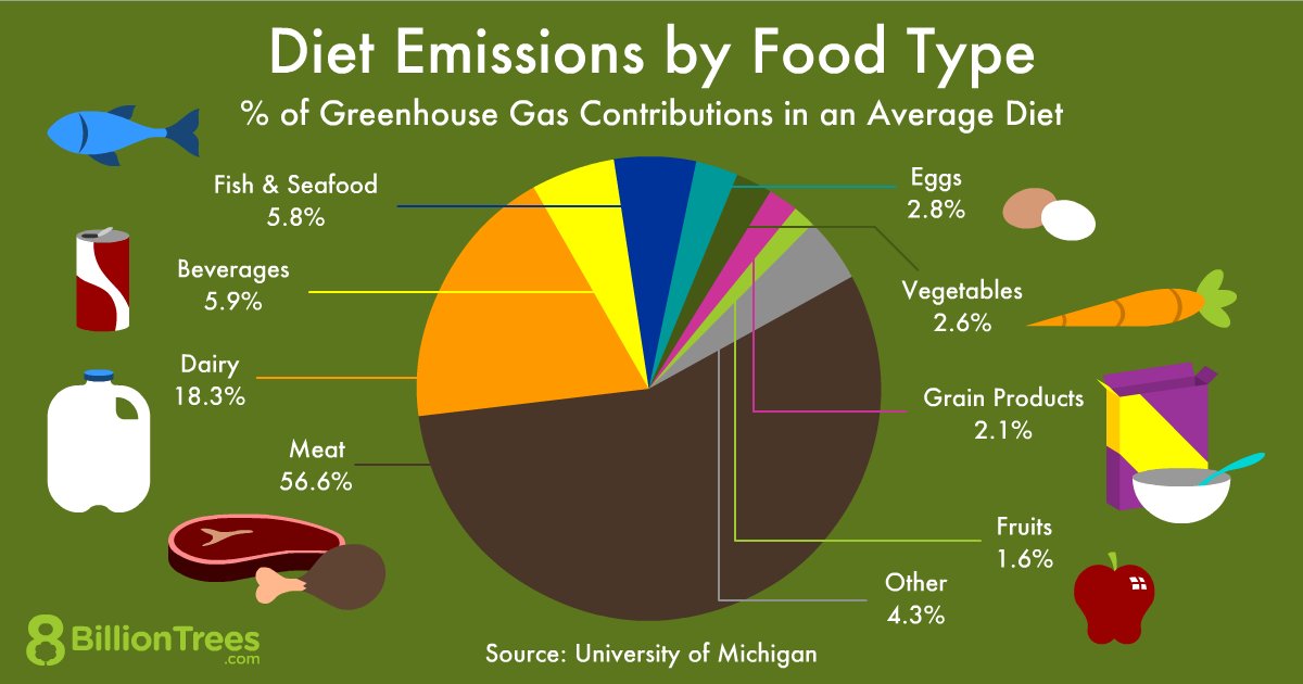 PepperKitching's tweet photo. But what about the major climate effects of meat/dairy production? How about a push for greener eating? #climatefight #climatechange #netzero #CarbonFootprint https://t.co/WFSgJC2Wj5