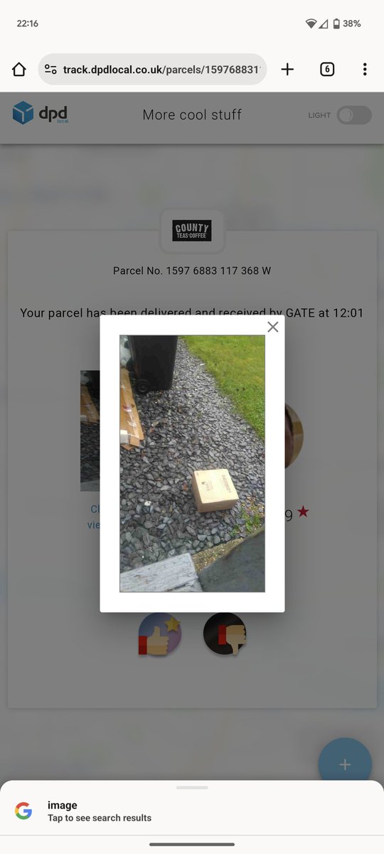 kim downey tweet media