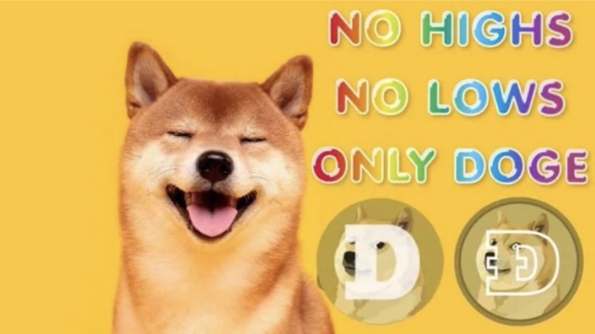 Dogecoin is the perfect vehicle for navigating the choppy seas of crypto