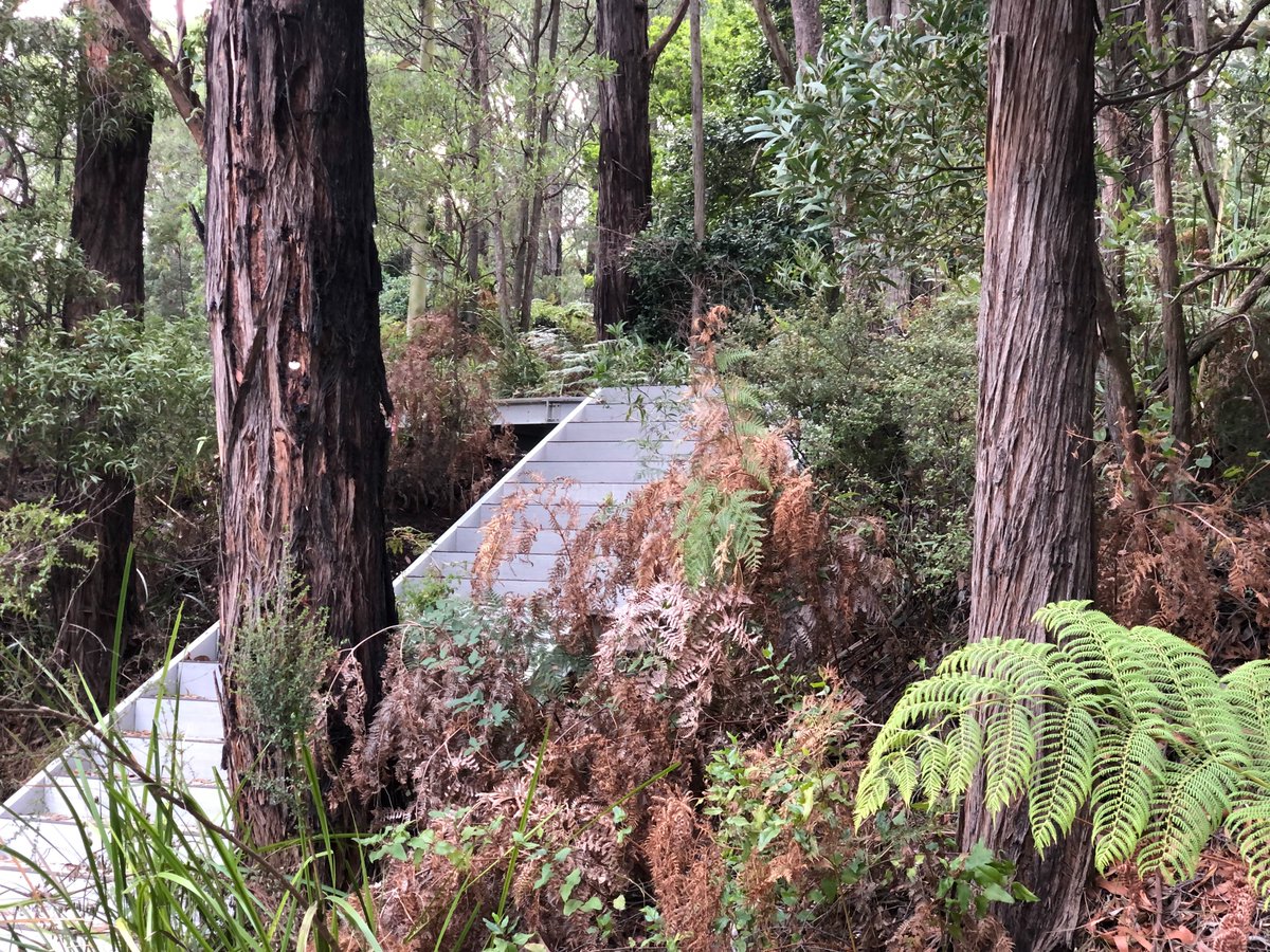 CompositeEngAu's tweet image. FRP stairs in the woods. The stair treads have a grit finish (P5 rated) to allow safe use even in the wettest of conditions.

#structuralcomposites #frpstructures #composite #frp #maxigrate #maxistruct #walkways #compositeengineering #boardwalks #frpgrating #grating