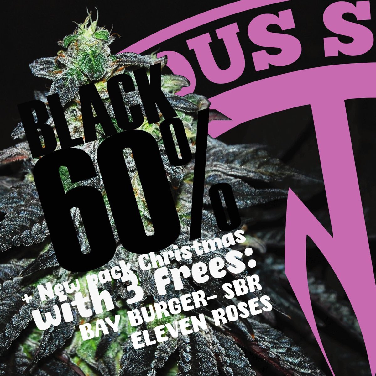 DeliciousSeeds's tweet photo. BLACK FRIDAY? BLACK WEEK has arrived! 🔥

🎁 50% DISCOUNT + Christmas pack 🎁

➡️ Enter our website and take advantage of the offer only during this week. GO GO GO GO! 💜

#BlackFriday #DeliciousFriday #DeliciousSeeds #LifeIsDelicious #BlackFriday2023 https://t.co/CmTIOcBTVp
