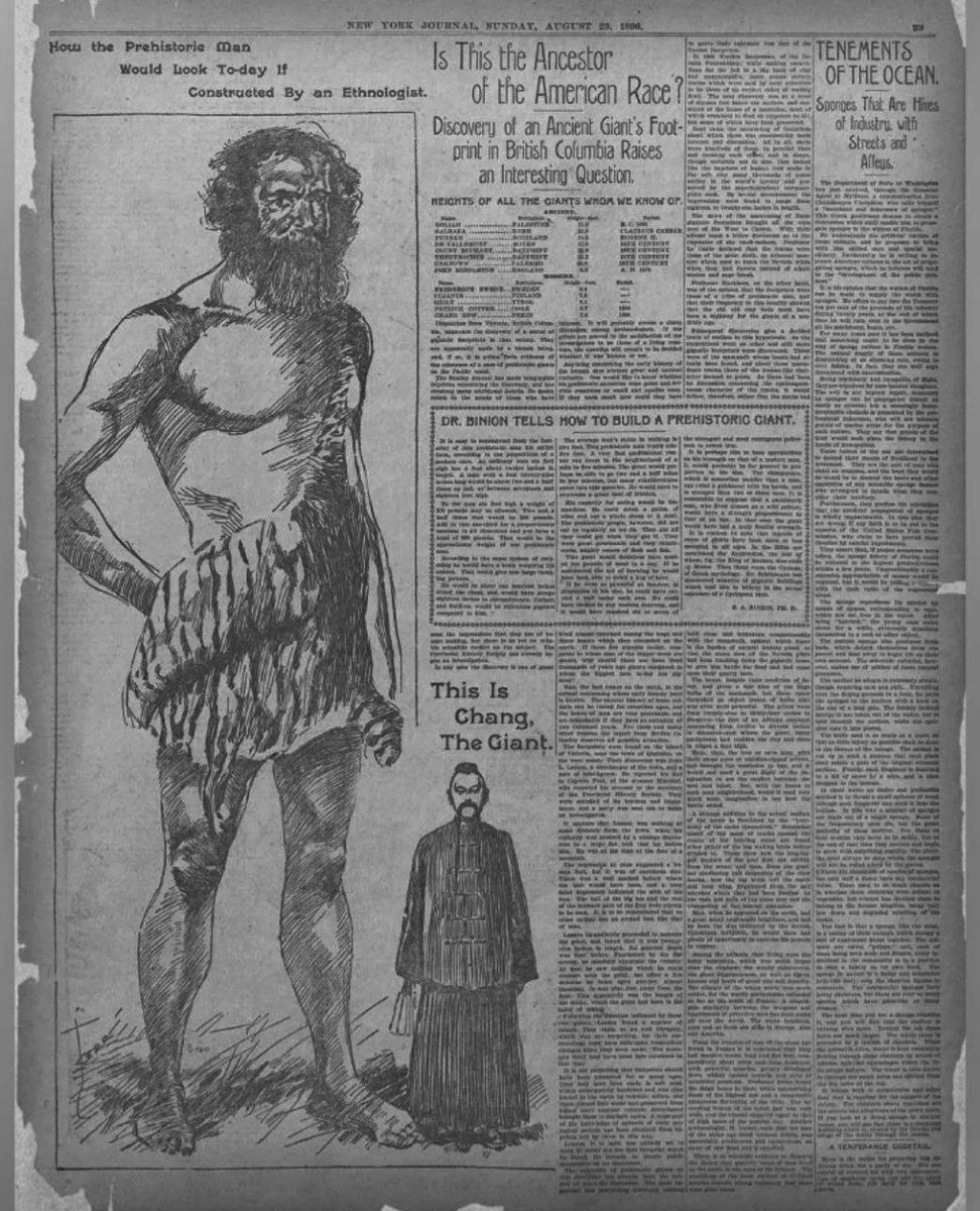 andtartary2's tweet photo. An interesting article published in a New York magazine in 1896, giving the size of known giants that existed in the recent past. https://t.co/m2cAlZ9nq5