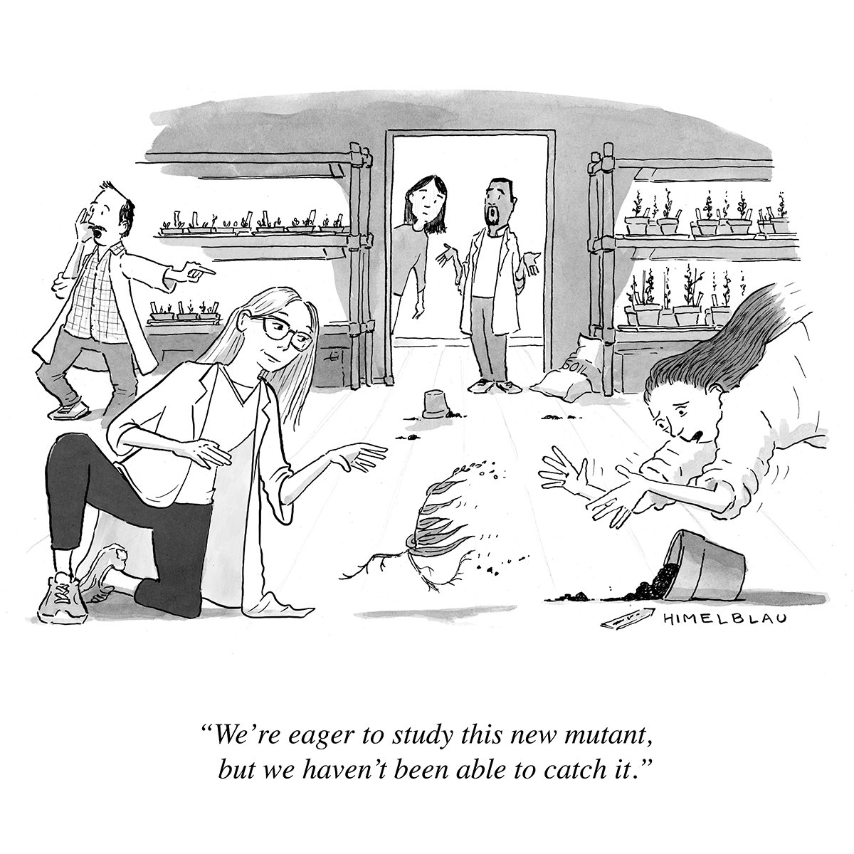 Ed Himelblau (he, him) tweet media