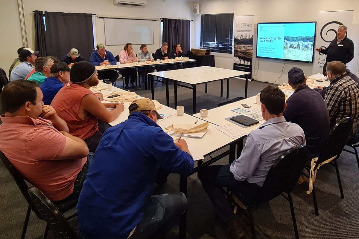 Great turnout at our Winning With Weaners workshop at Campbell Town @woolinnovation @Agrivetbusiness