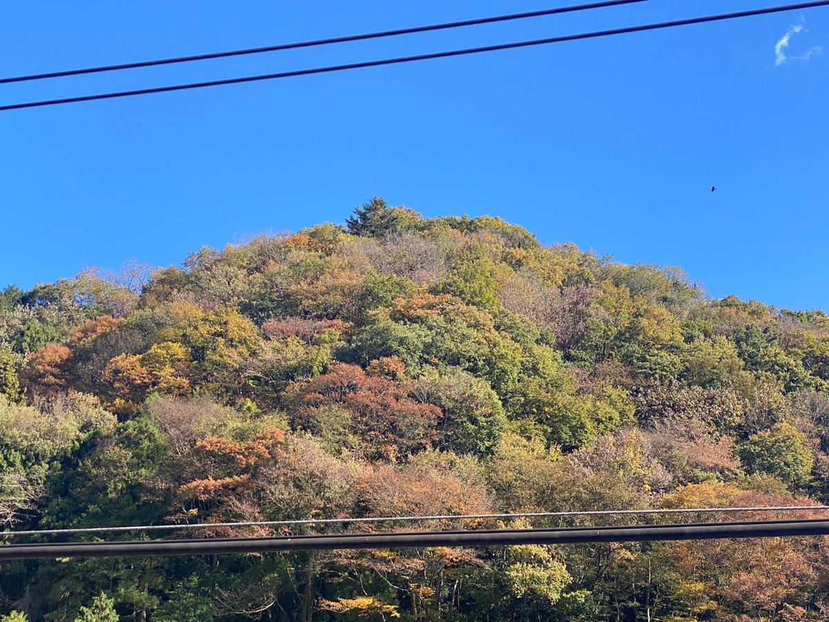 kuukansugoi's tweet photo. #Densen
ひくい山
おはようございます ^^
🖼
電線 を 額縁に
the electrical wire picture frame
#額縁電線 https://t.co/Ud7dzHWy6m