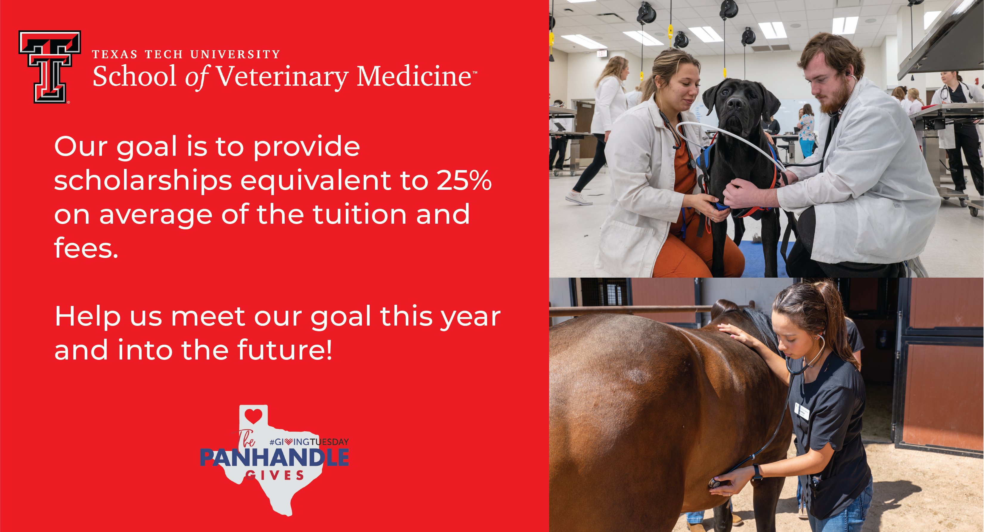 Texas Tech School of Veterinary Medicine Graduate Student