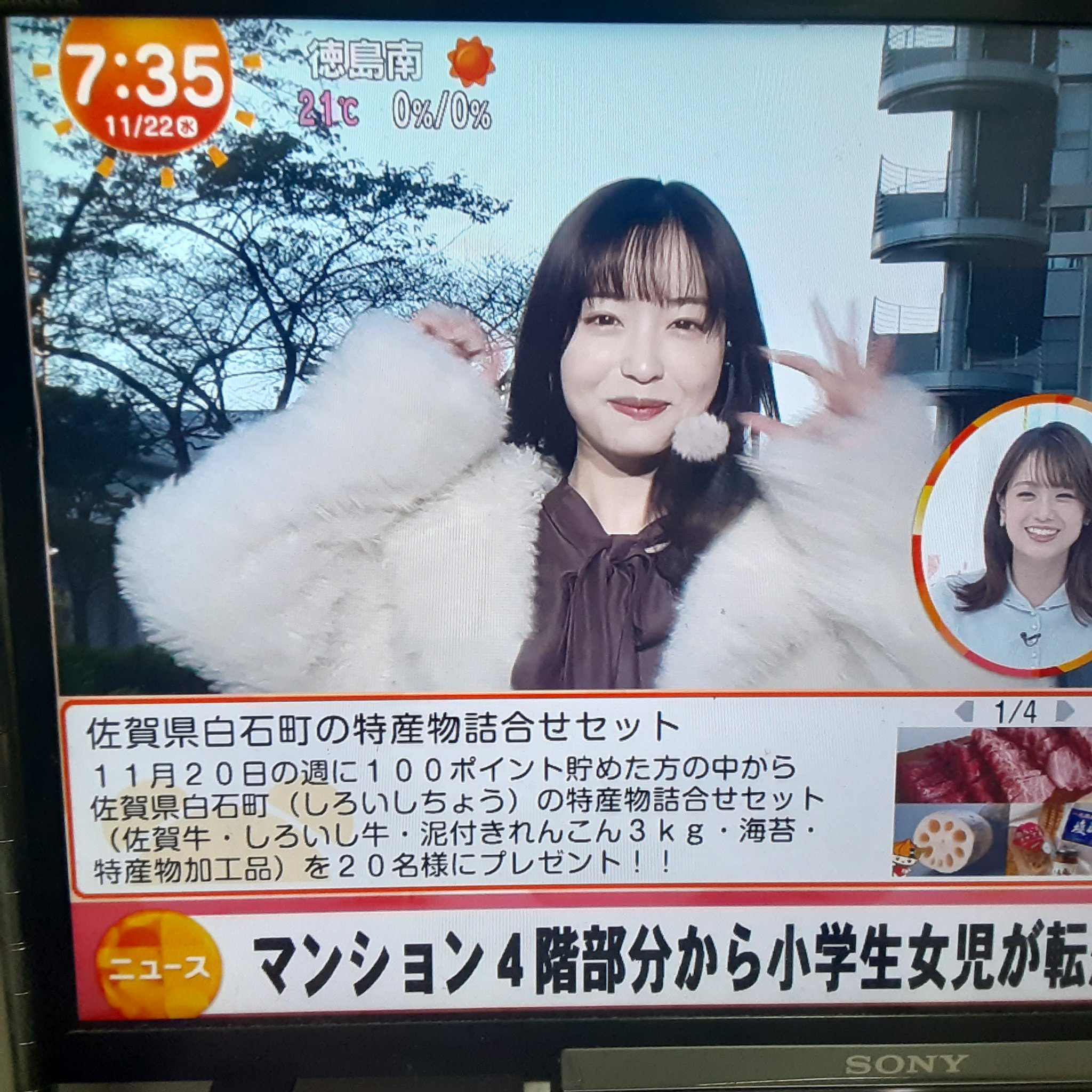 けんけん様　キャスター やっち on X: 