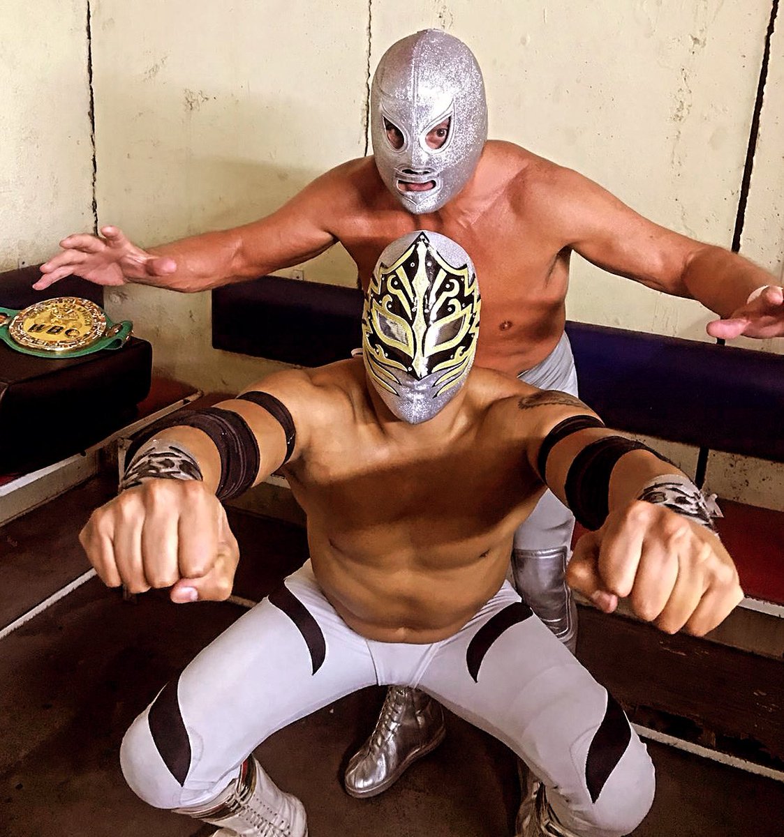 Un Santo y un Tigre Blanco 🐯👊🏽🕯️ <a href="/ElHijodelSanto/">El Hijo del Santo</a>