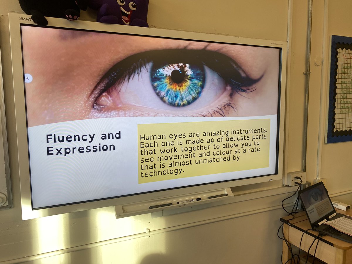 StPPPrimaryY3's tweet photo. We started our day reading about the different parts of the eye. Our focus today was to read fluently and with expression. #reading #wholeClassReading @StPPPrimary https://t.co/mFWDqwruw6