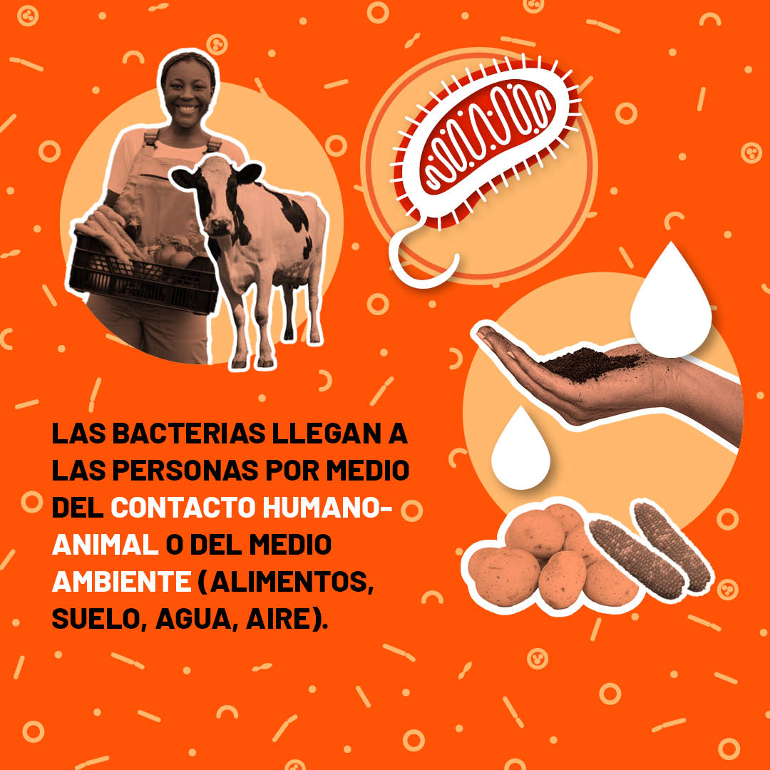 Infectologia critica tweet media