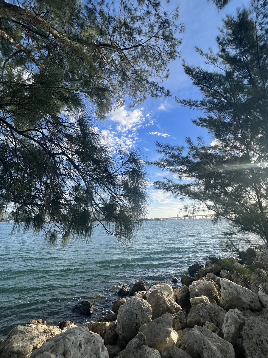 ritamariedaley's tweet photo. #morningpeace https://t.co/Mp8sKY1Dps