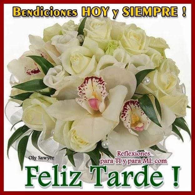 Buenas tardes 😘🌼🌹🌻☀️🌅🌸💐🌼