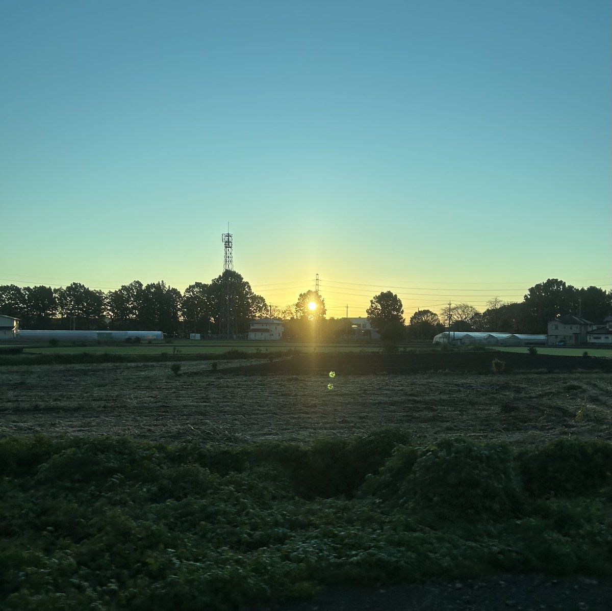 もりはるし (@hmori_tky) / Posts / X