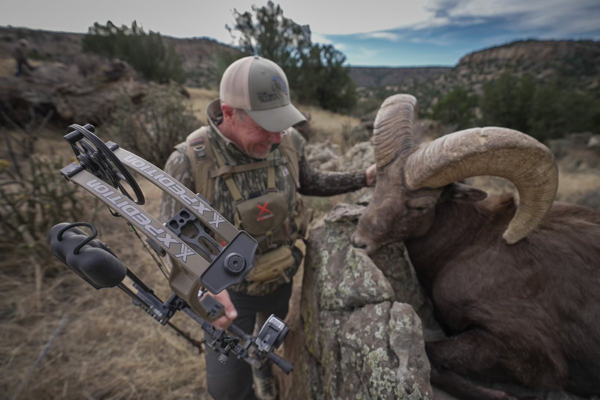 SPORTSMANchnl's tweet photo. Congrats to our buddy Mark Heck of @TheGivenRight for fulfilling a lifelong dream and tagging out on his Rocky Mountain Bighorn Sheep! Way to go Mark, that is amazing and by bow as well.
#ITSINOURBLOOD #hunting #thegivenright #bighorn #sheep #rockymountain https://t.co/Moe1sQ0mhi