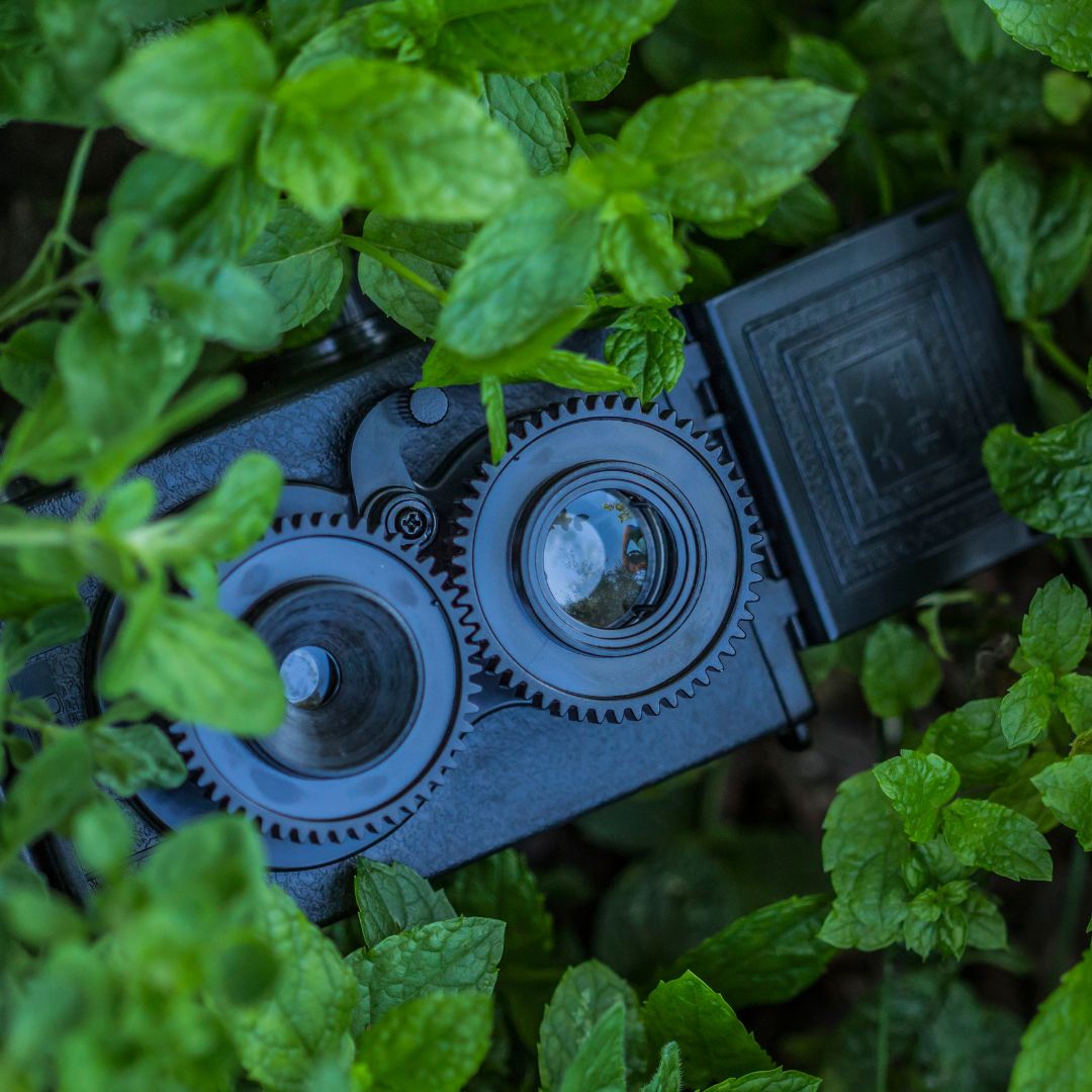 EmpireInvLLC's tweet photo. Stay one step ahead of the game with Empire’s hidden camera security solutions. Let us customize a system to meet your specific surveillance needs.
.
☎: 800-860-6068
💻: https://t.co/GySDiXTmDZ
.
.
.
#privateinvestigator #surveillance #investigation #investigator #pi #detec... https://t.co/2Mm5XO3J54