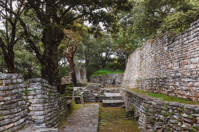 SECTUR_mx's tweet photo. 🌿🍃Explora el legado histórico en la zona arqueológica de #Ranas y #Toluquilla, ubicada en el encantador #PuebloMágico de #SanJoaquín, en #Querétaro. 🇲🇽✨

📜🦎En medio del bosque, descubre terrazas, templos y juegos de pelota que narran la rica historia de este lugar único.🤩 https://t.co/r5i6Nft2xu
