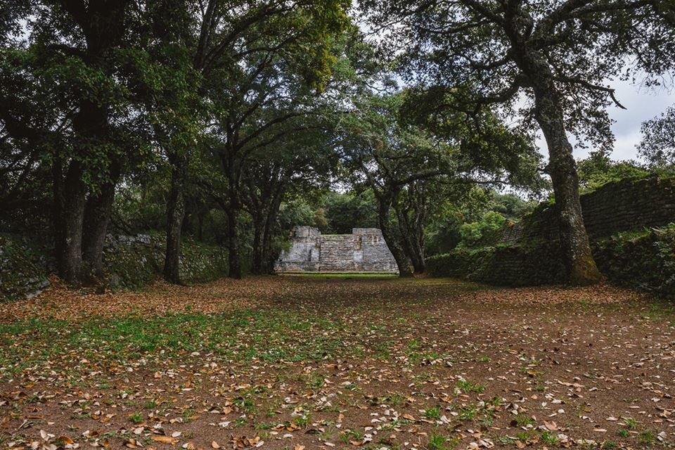 SECTUR_mx's tweet photo. 🌿🍃Explora el legado histórico en la zona arqueológica de #Ranas y #Toluquilla, ubicada en el encantador #PuebloMágico de #SanJoaquín, en #Querétaro. 🇲🇽✨

📜🦎En medio del bosque, descubre terrazas, templos y juegos de pelota que narran la rica historia de este lugar único.🤩 https://t.co/r5i6Nft2xu