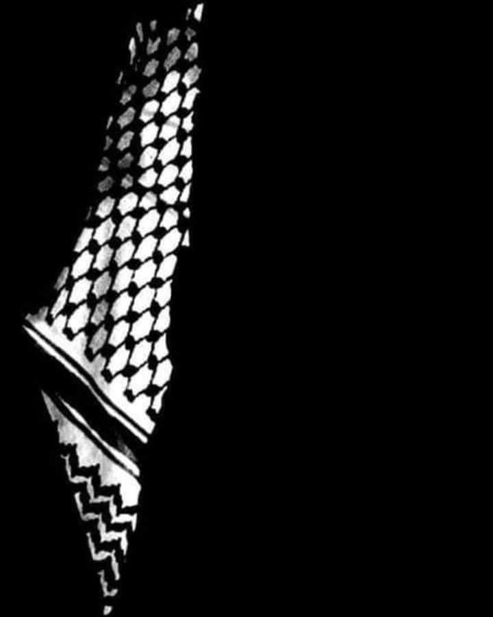 "ماذا أقول فخافقي يتألَّمُ؟!
والحُزْنُ يشعلُ للفؤاد ويضرمُ

ماذا أحدِّث عن فلسطين التي
أضحت على كفِّ الجراح تُسلِّمُ

نفد الكلام وصار حرفي عاجزاً
والصَّمْتُ من حزني لها يتكلَّمُ"

#مرافئ_الياسمين
#هنا_غزة