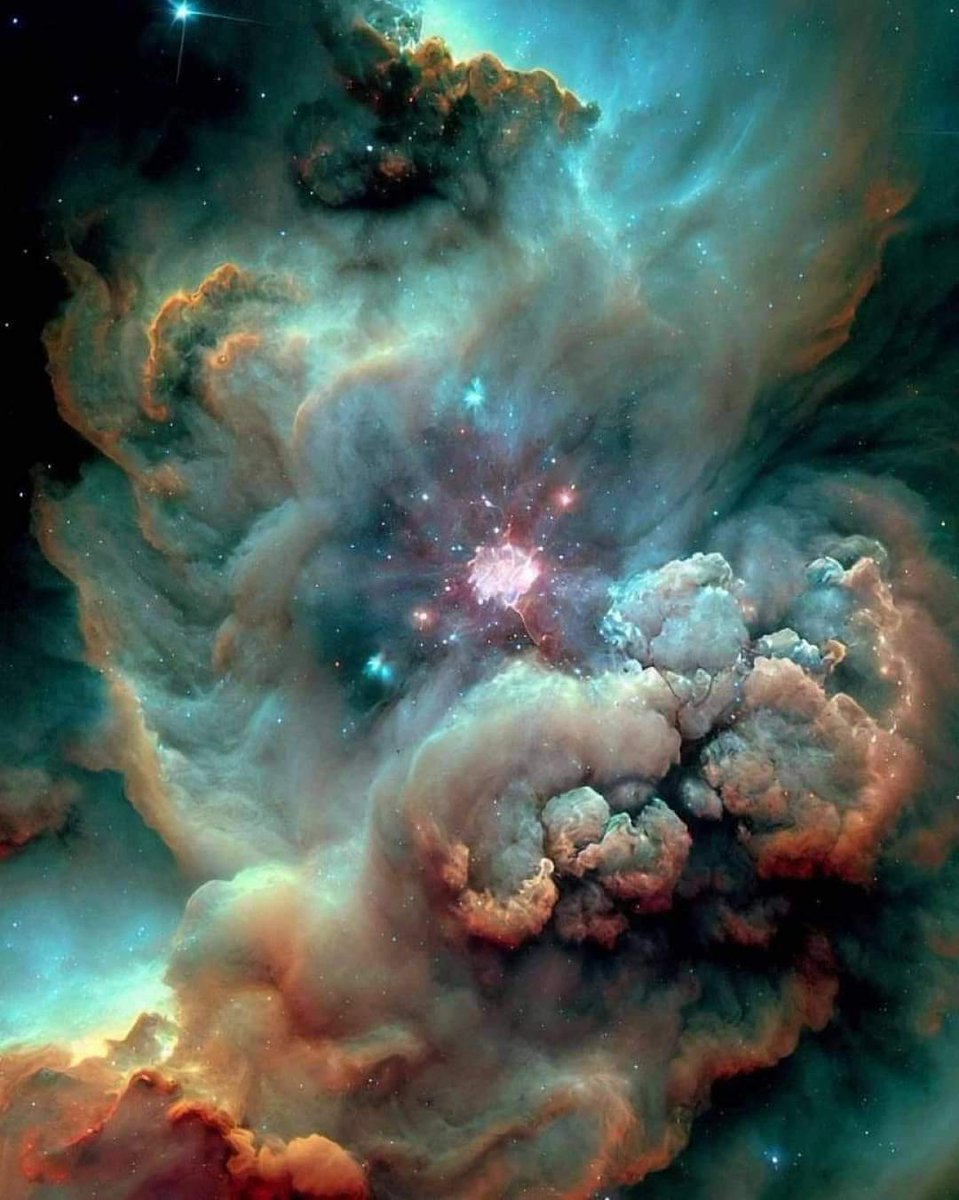 The Science World tweet media