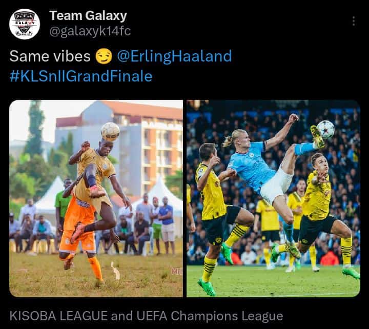 Davis  vs Halland yiyo ejjaa