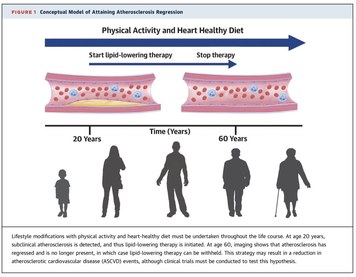 Great editorial @DrGermanMD @DrMichaelShapir highlighting the importance of early CVD risk assessment and lifestyle implementation