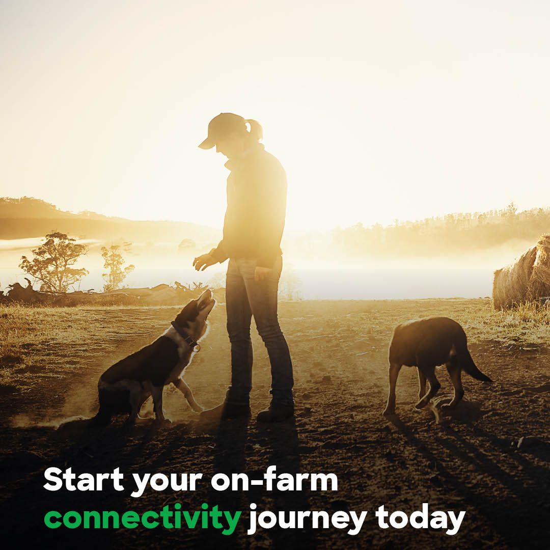 NationalFarmers's tweet image. 🌾 Exciting News for Farmers! 🚜 Join us tomorrow for a FREE webinar on Thursday 23 November at 12 noon AEDT, to discover the ins and outs of applying for an On Farm Connectivity grant under the new Australian Government program. 

Register now ➡️ events.teams.microsoft.com/event/3d52dcfc…