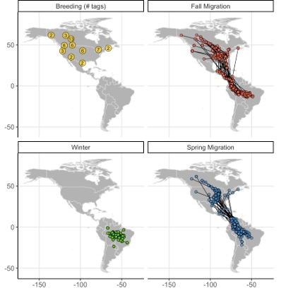 3/6 #BOUsci23 #SESH7

We used GPS points in discrete choice models to understand roosting habitat selection during each stage of the year

We predicted selection would be determined by roosting attributes at the roost site scale and by other behaviours at the home range scale