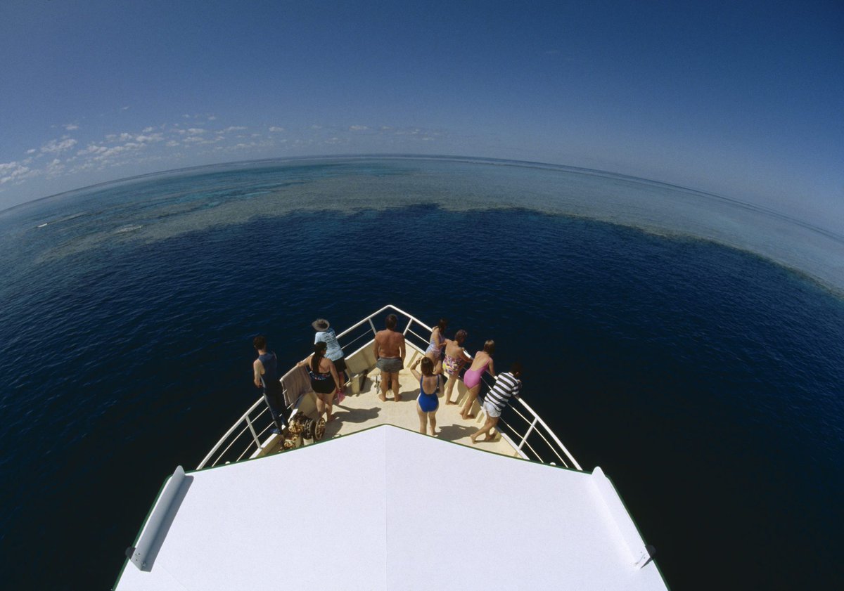 ScubaverseMedia's tweet photo. Find out all about the diving that #Australia has to offer in the Scubaverse Dive Guide! Discover the Australia destination page in the Scubaverse Dive Guide here:
https://t.co/S0FKbra3kD
#scuba #diving #dive #trip #travel #holiday #vacation #GBR #greatbarierreef @Australia https://t.co/zN5U1qft4r