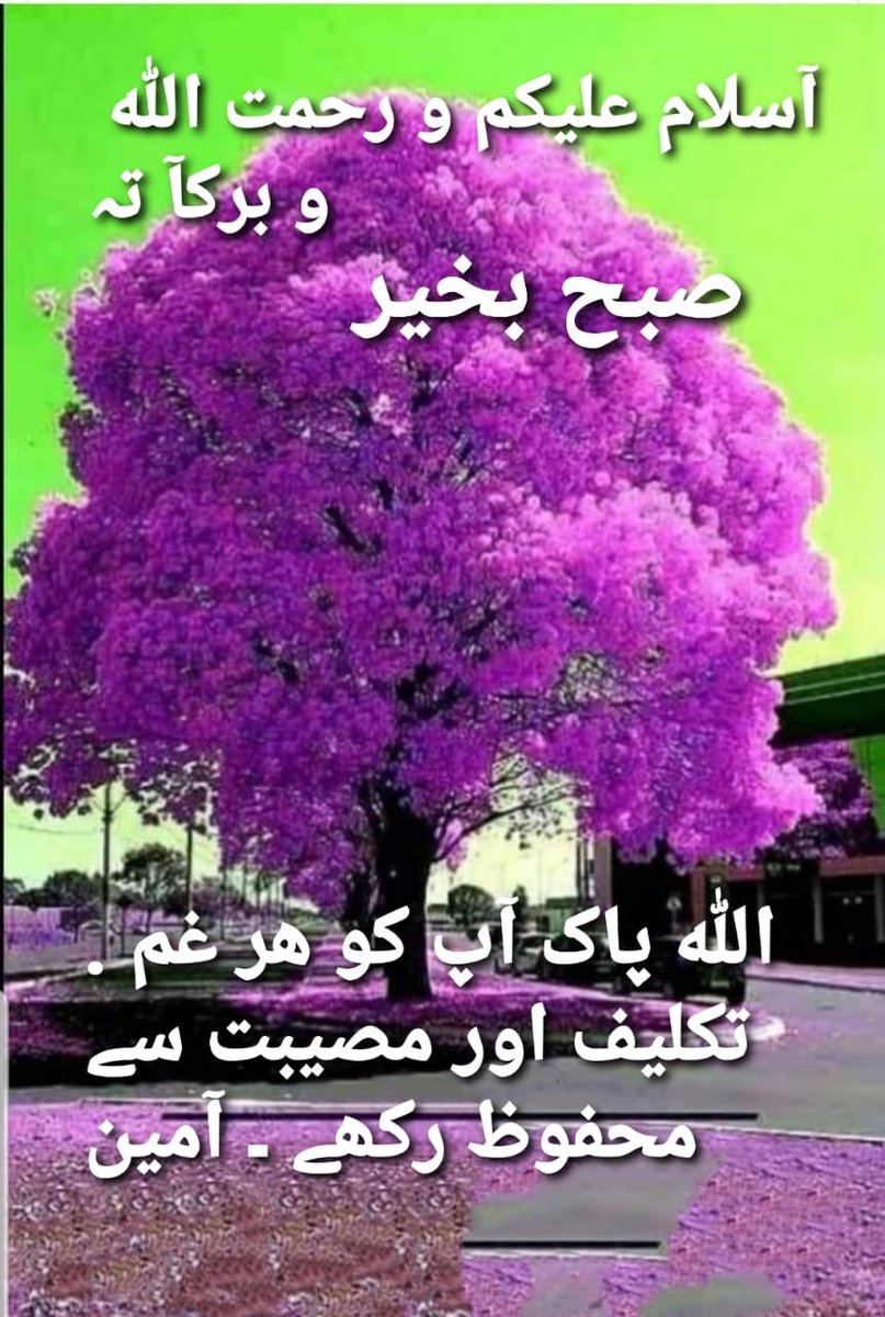 Malik Farook (@malikfaroo41892) on Twitter photo 