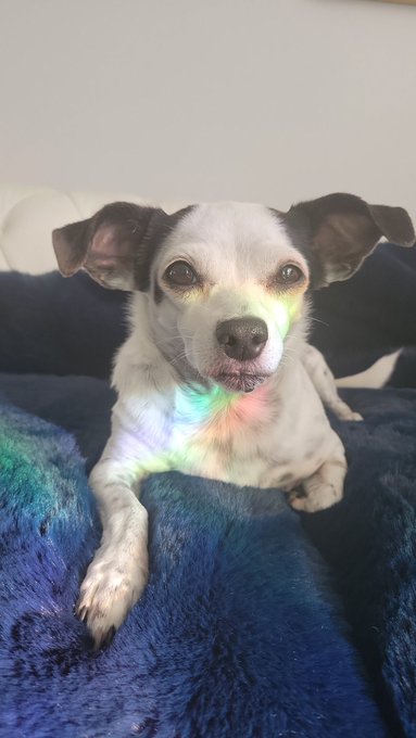 I have been having a really rough few days. I am holding off on buying groceries because I need to take