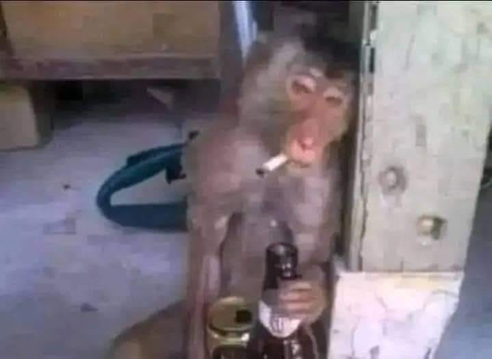 _onerolita's tweet photo. yo después de darmela de detective https://t.co/dHwjcAQyIs