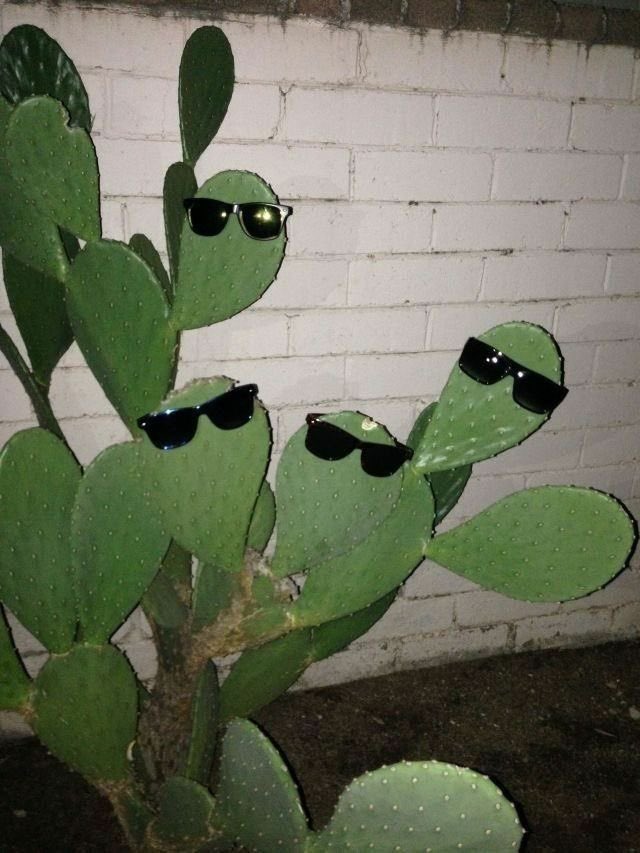 nuyaolang's tweet photo. go to pinterest and search: 

"character"
"place" 
"plant"  
"animal"  

quote this with the FIRST pic that appears, that is your vibe https://t.co/1lPD3lp38Y